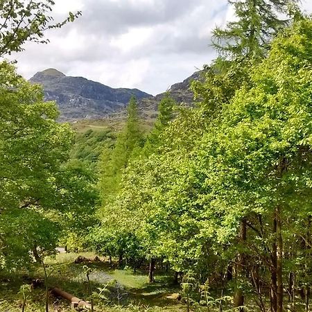 Villa Mountain Walks Straight From The Doorstep Blaenau Ffestiniog Esterno foto