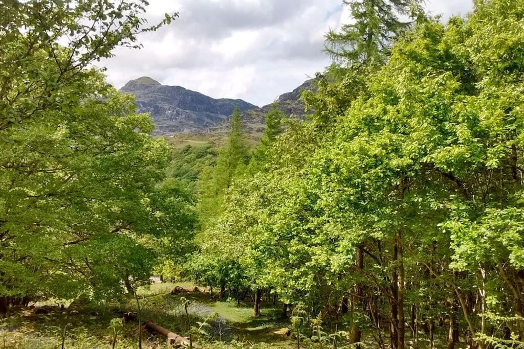 Villa Mountain Walks Straight From The Doorstep Blaenau Ffestiniog Esterno foto